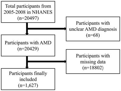 Association between dietary consumption of multiple vitamins and age-related macular degeneration: a cross-sectional observational study in the National Health and Nutrition Examination Survey 2005–2008